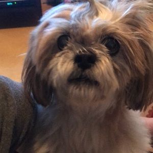 Meet your Posher, Dnorah